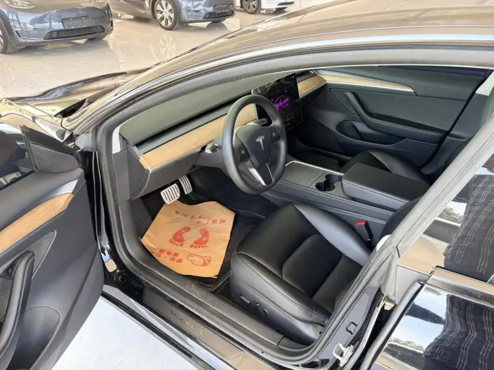 Model 3 2022 Model Performance High performance All-wheel drive version – фото 8