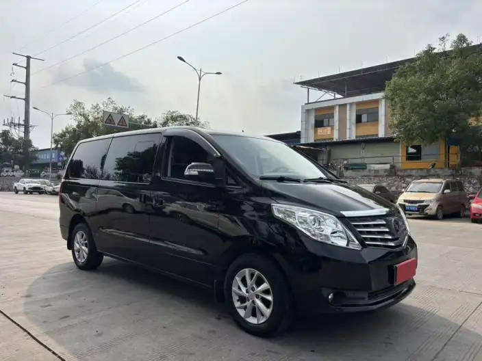 Lingzhi Plus 2022 Model Touring Edition 2.0L Manual Luxury Model 7 seat – фото 3