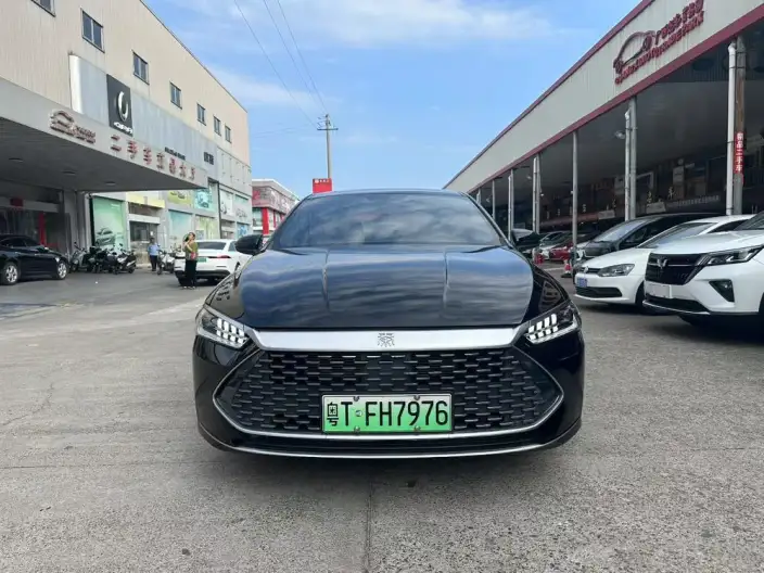 BYD Qin PLUS DM 2024 Model Honor Edition DM-i 55KM Leading Model – фото 2
