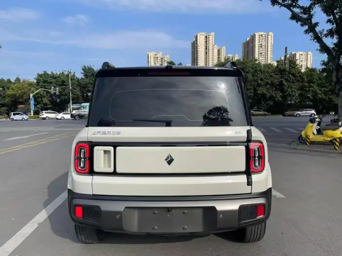 Yueye Plus 2025 Model Zhizun Edition – фото 5