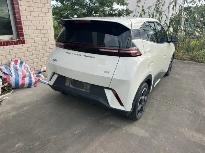 BYD Seagull 2023 Model Feixiang Edition – фото 6