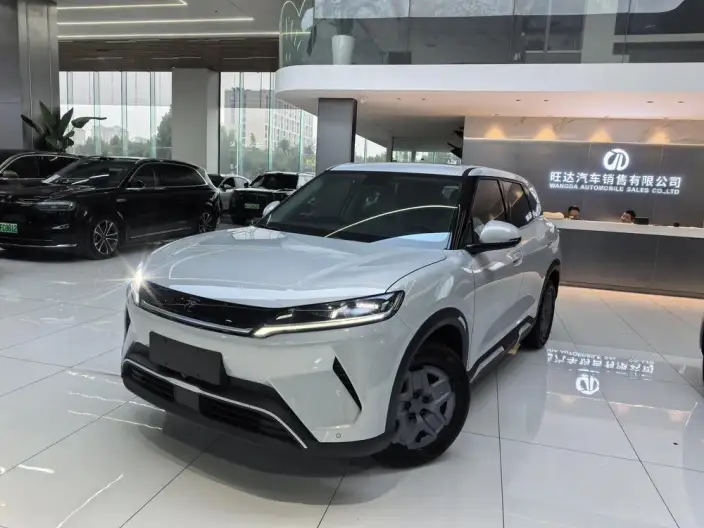 Yuan UP 2025 Model 301KM Pilot Model – фото 1