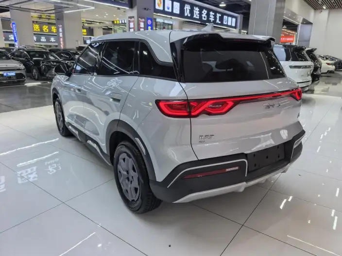 Yuan UP 2025 Model 301KM Pilot Model – фото 4