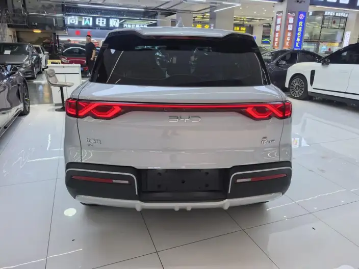 Yuan UP 2025 Model 301KM Pilot Model – фото 5