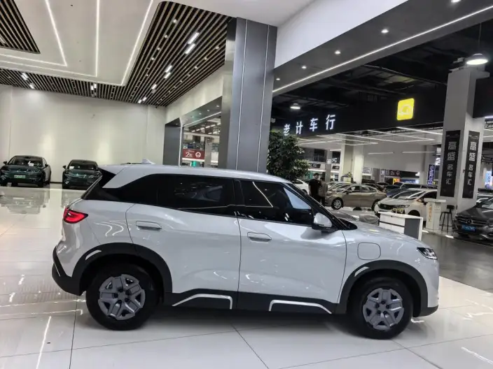 Yuan UP 2025 Model 301KM Pilot Model – фото 7