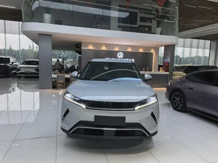 Yuan UP 2025 Model 301KM Pilot Model – фото 2