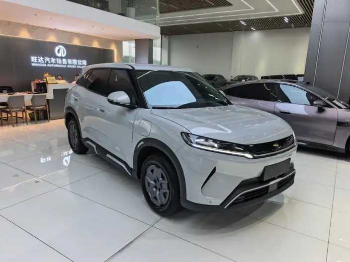 Yuan UP 2025 Model 301KM Pilot Model – фото 3