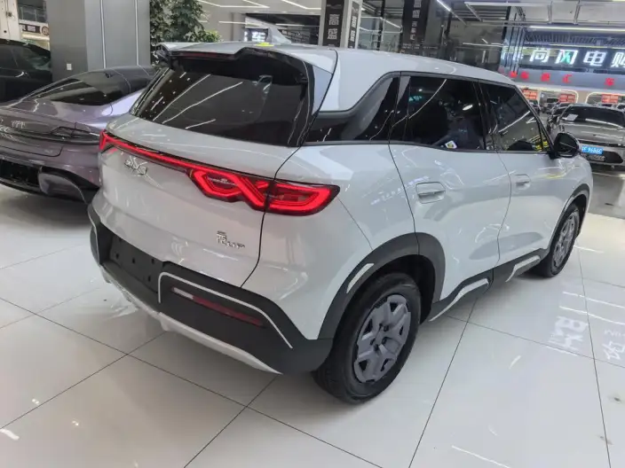 Yuan UP 2025 Model 301KM Pilot Model – фото 6