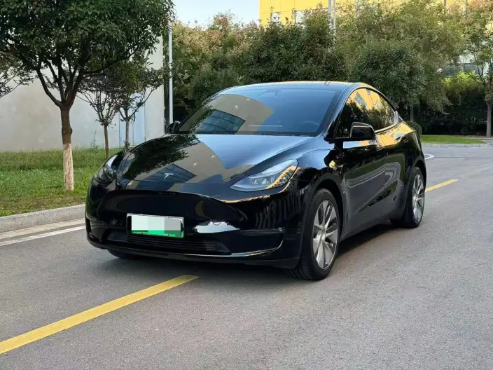 Model Y 2021 Model Standard Battery Life Rear-wheel drive version – фото 1