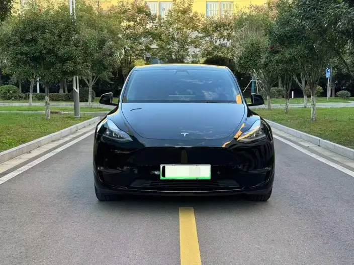 Model Y 2021 Model Standard Battery Life Rear-wheel drive version – фото 2
