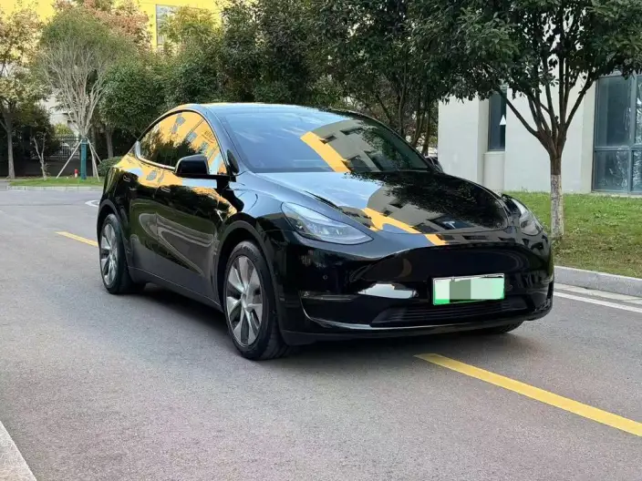 Model Y 2021 Model Standard Battery Life Rear-wheel drive version – фото 3