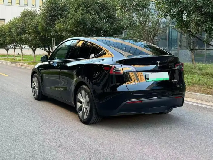 Model Y 2021 Model Standard Battery Life Rear-wheel drive version – фото 4