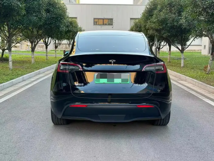 Model Y 2021 Model Standard Battery Life Rear-wheel drive version – фото 5
