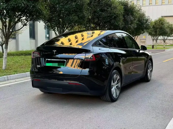 Model Y 2021 Model Standard Battery Life Rear-wheel drive version – фото 6