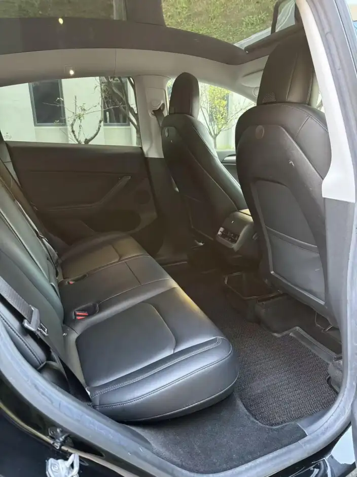 Model Y 2021 Model Standard Battery Life Rear-wheel drive version – фото 7