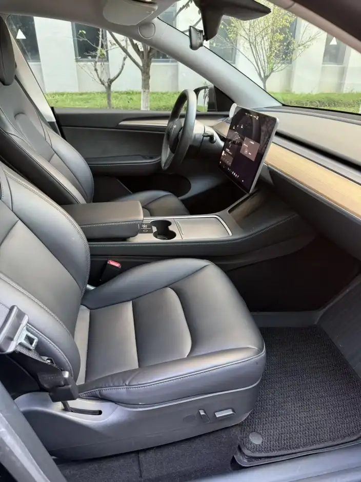 Model Y 2021 Model Standard Battery Life Rear-wheel drive version – фото 8