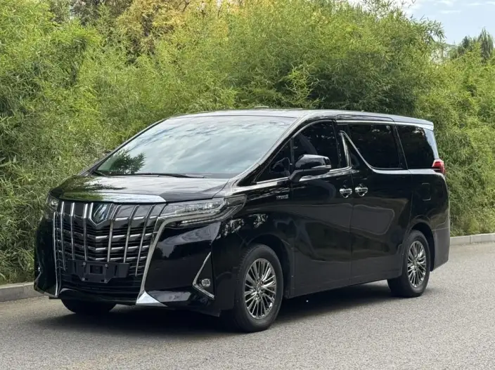 Elfa 2021 Model Hybrid 2.5L Deluxe Edition – фото 1