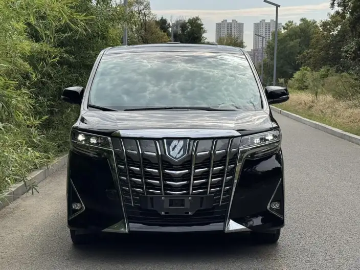 Elfa 2021 Model Hybrid 2.5L Deluxe Edition – фото 2