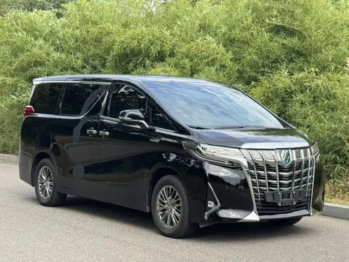 Elfa 2021 Model Hybrid 2.5L Deluxe Edition – фото 3