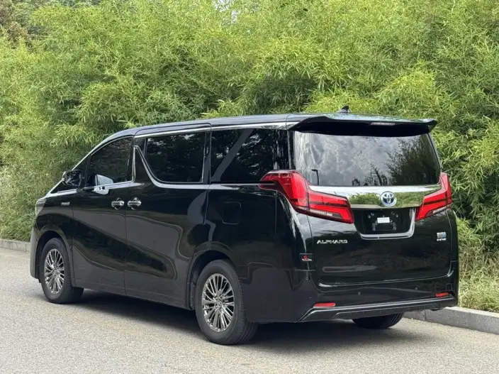 Elfa 2021 Model Hybrid 2.5L Deluxe Edition – фото 4