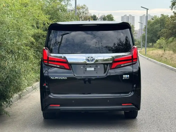 Elfa 2021 Model Hybrid 2.5L Deluxe Edition – фото 5