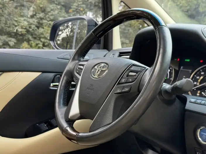 Elfa 2021 Model Hybrid 2.5L Deluxe Edition – фото 8