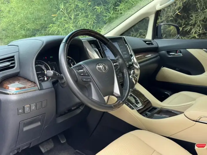 Elfa 2021 Model Hybrid 2.5L Deluxe Edition – фото 9