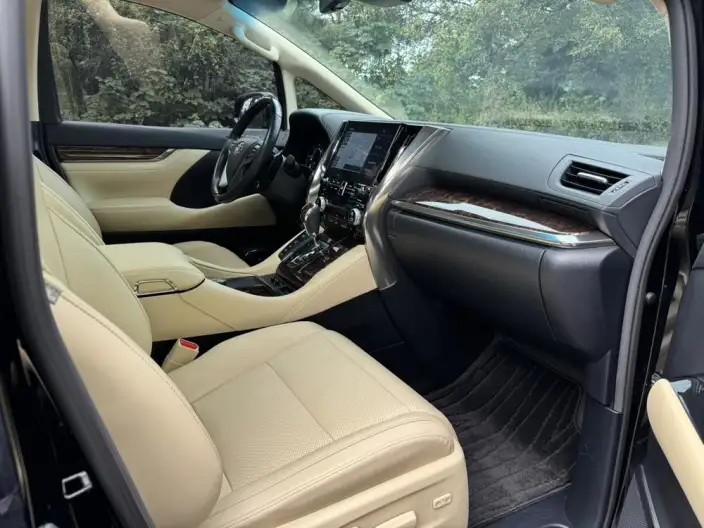 Elfa 2021 Model Hybrid 2.5L Deluxe Edition – фото 10