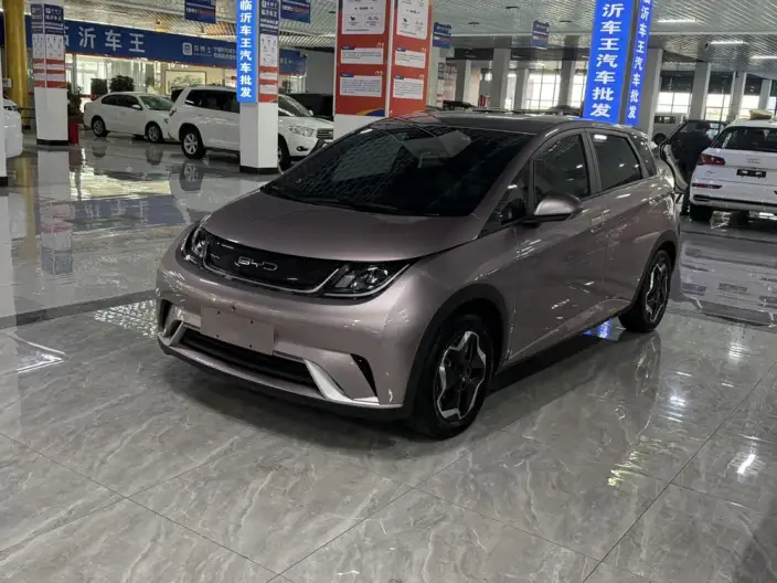 BYD Dolphin 2021 Model Free Edition – фото 1