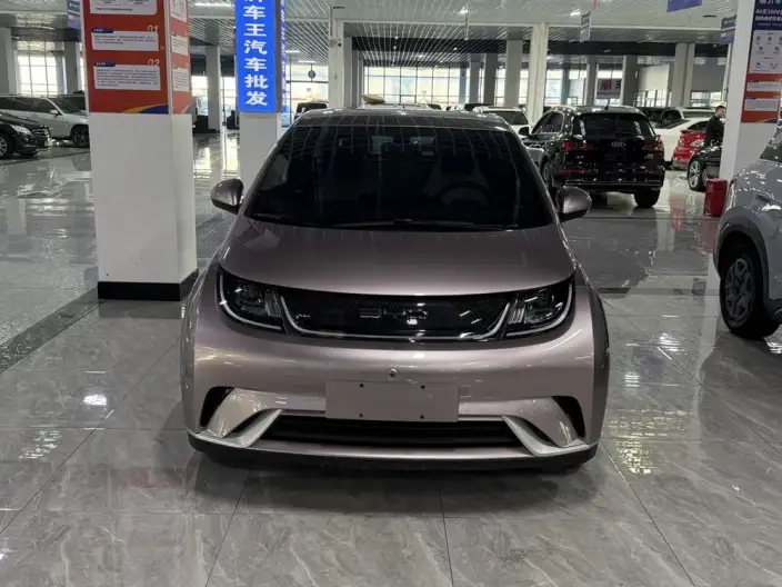 BYD Dolphin 2021 Model Free Edition – фото 2