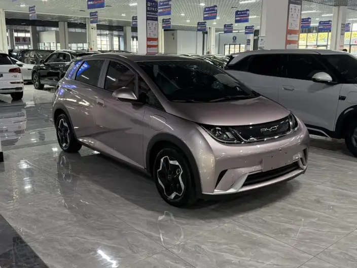 BYD Dolphin 2021 Model Free Edition – фото 3