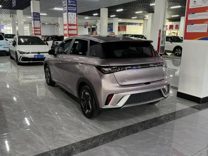 BYD Dolphin 2021 Model Free Edition – фото 4