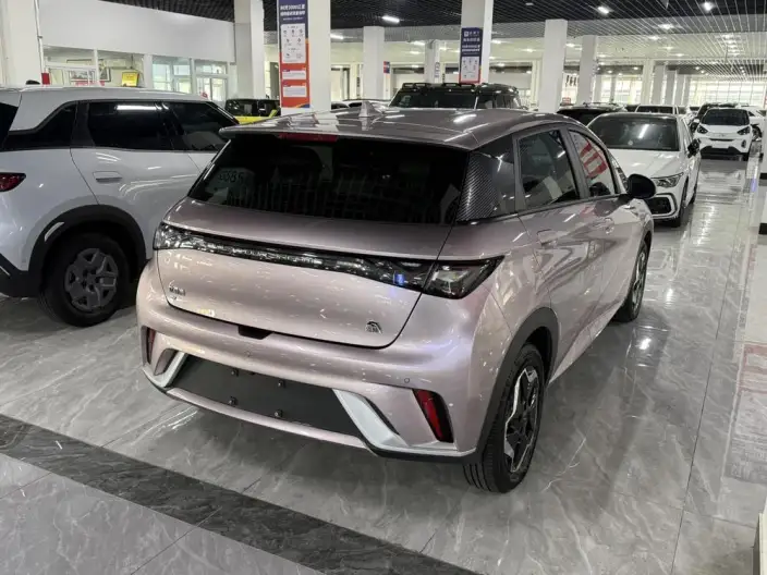 BYD Dolphin 2021 Model Free Edition – фото 5