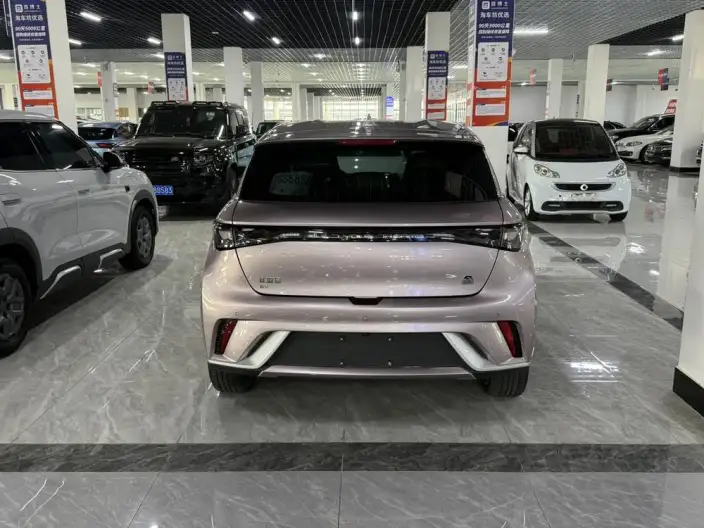 BYD Dolphin 2021 Model Free Edition – фото 6