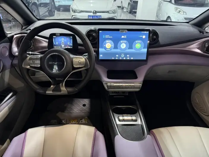BYD Dolphin 2021 Model Free Edition – фото 7