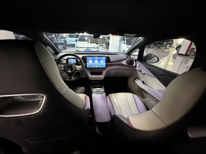 BYD Dolphin 2021 Model Free Edition – фото 8