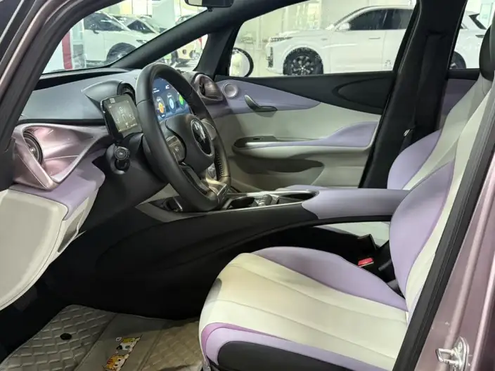 BYD Dolphin 2021 Model Free Edition – фото 9