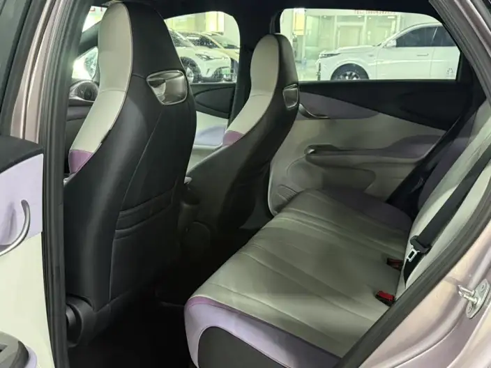 BYD Dolphin 2021 Model Free Edition – фото 10
