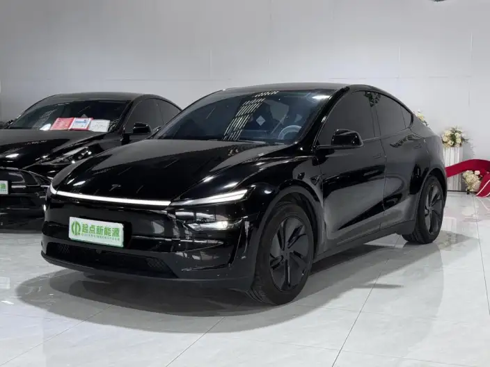 Model Y 2025 Model Long Battery Life Pro All-wheel drive version – фото 1