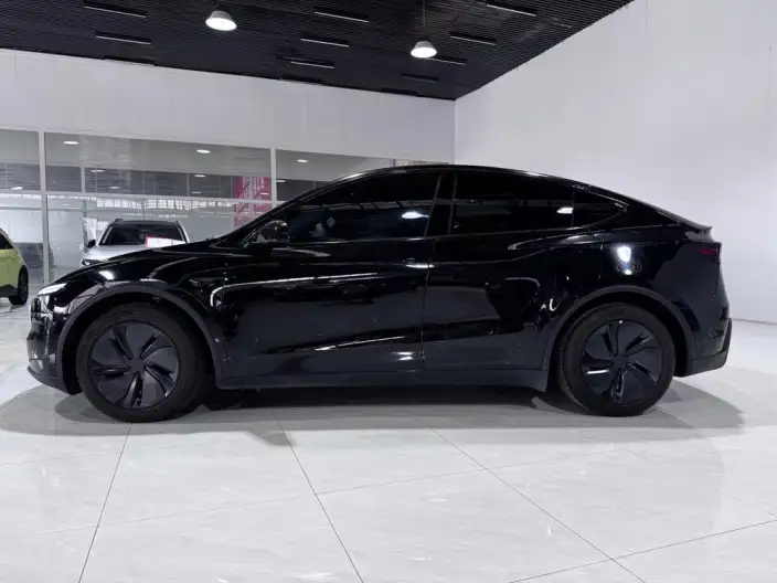 Model Y 2025 Model Long Battery Life Pro All-wheel drive version – фото 2
