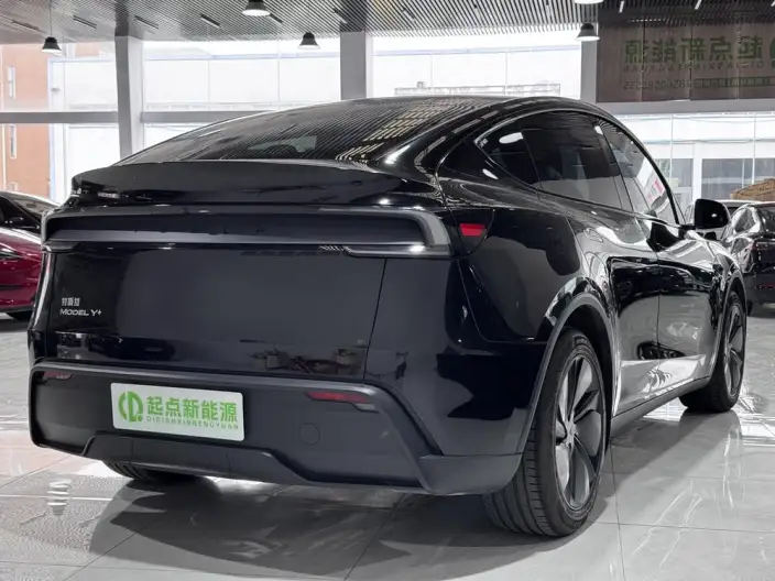 Model Y 2025 Model Long Battery Life Pro All-wheel drive version – фото 3