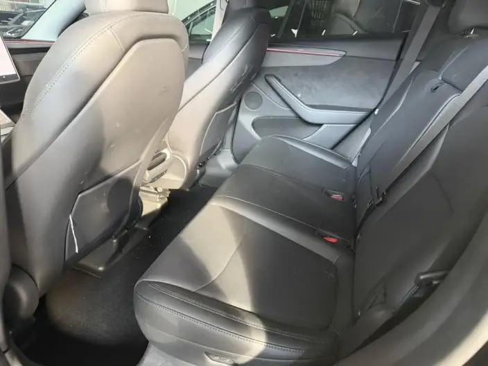 Model Y 2025 Model Long Battery Life Pro All-wheel drive version – фото 7