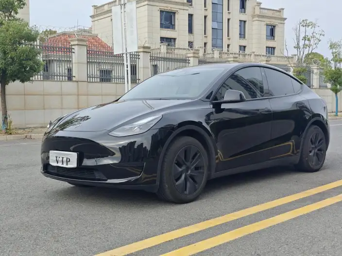 Model Y 2023 Model Rear-wheel drive version – фото 1