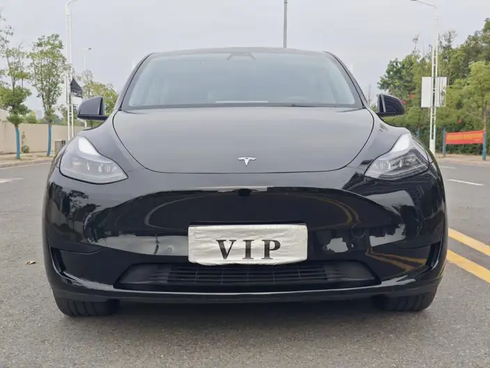 Model Y 2023 Model Rear-wheel drive version – фото 2
