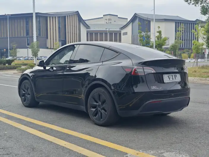 Model Y 2023 Model Rear-wheel drive version – фото 4