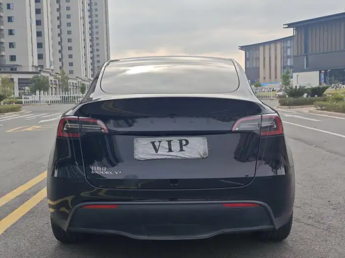 Model Y 2023 Model Rear-wheel drive version – фото 5