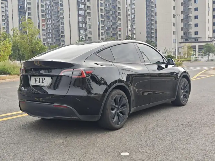 Model Y 2023 Model Rear-wheel drive version – фото 6