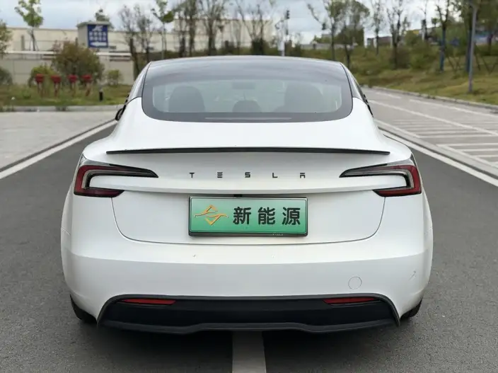 Model 3 2023 Model Rear-wheel drive version – фото 5