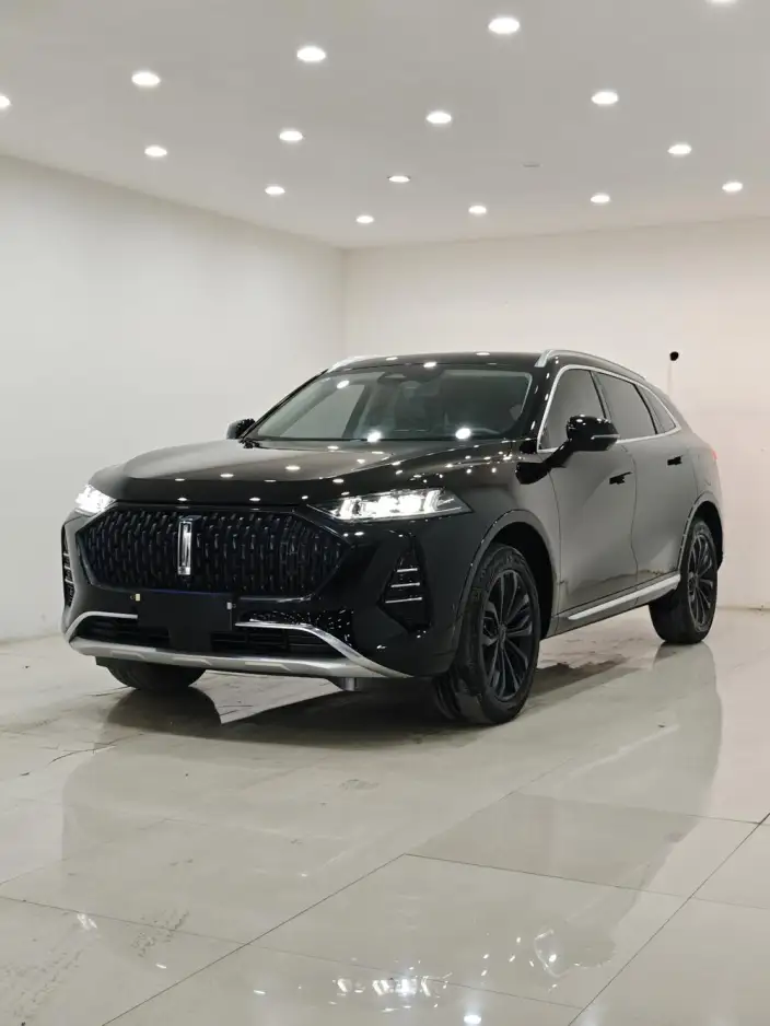 Mocha 2021 Model 2.0T 2WD Strong Edition