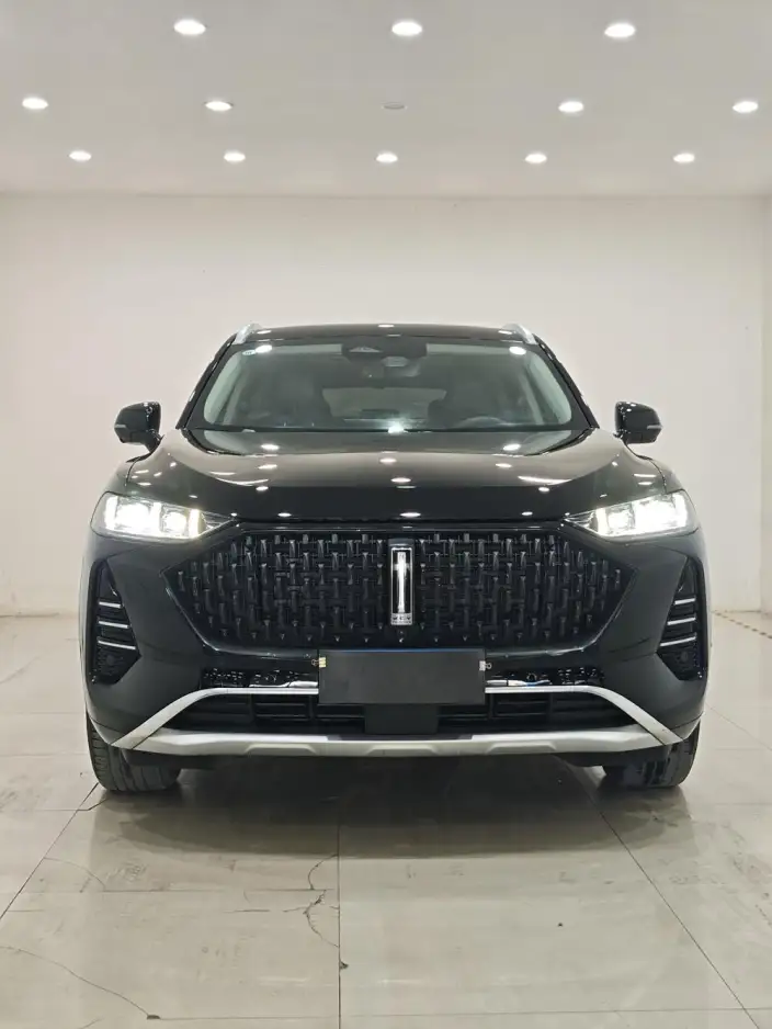 Mocha 2021 Model 2.0T 2WD Strong Edition
